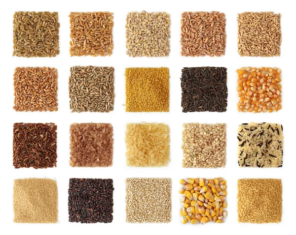 Коллекция зерновых — стоковое фото