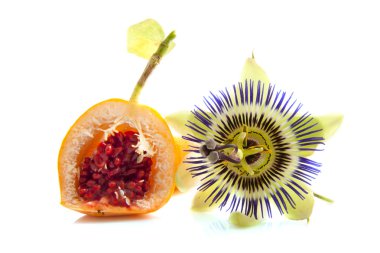 Passion fruit clipart