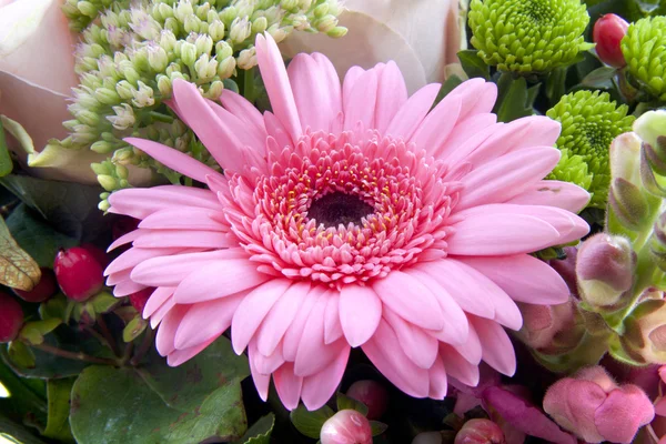 Bouquet di gebera — Foto Stock