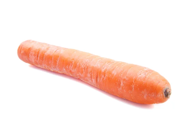 Fresh big carrot — Stock Photo, Image