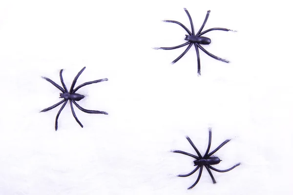 Gruselige Spinnen — Stockfoto