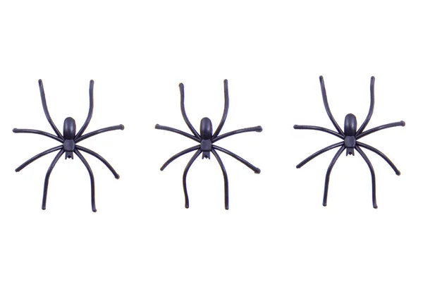 Svarta spindlar — Stockfoto