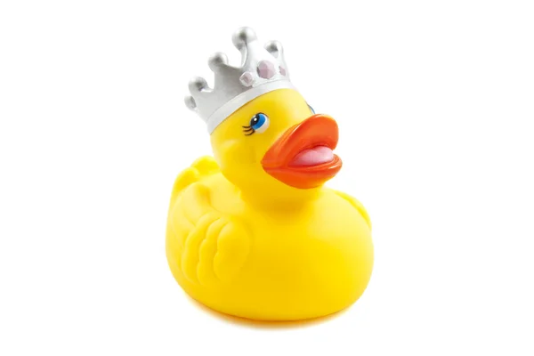 Gumowa kaczka król — Zdjęcie stockowe