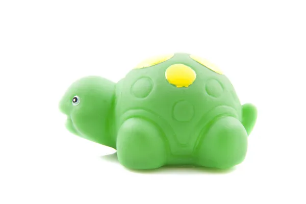Yeşil Kaplumbağa — Stok fotoğraf