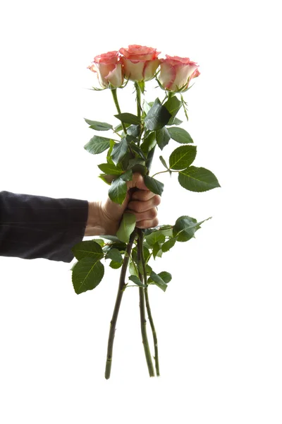 Róża prezent — Zdjęcie stockowe