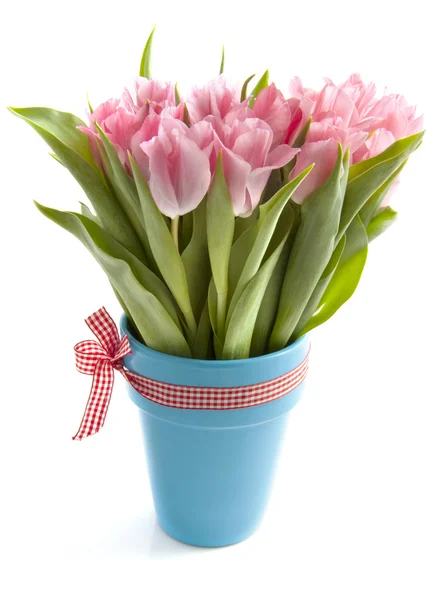 Specjalne tulipany — Zdjęcie stockowe