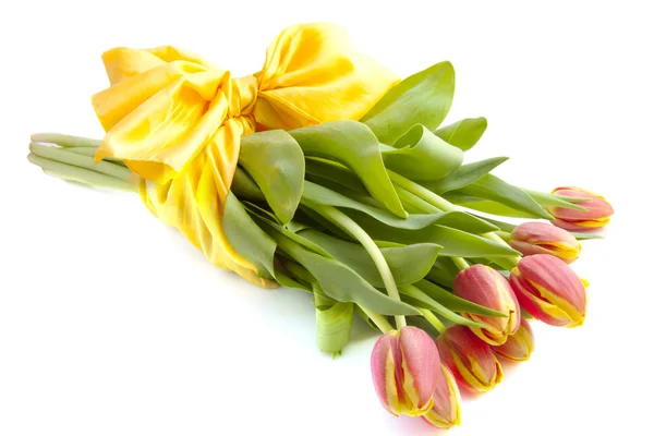 Tulipanes holandeses — Foto de Stock