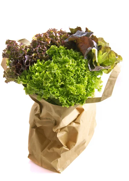 Salat Nákupní taška — Stock fotografie