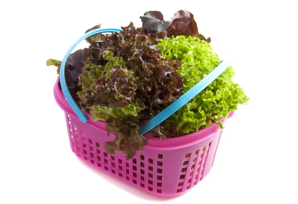 Mieszane salat — Zdjęcie stockowe