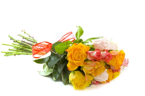 Kolorowe róże — Zdjęcie stockowe