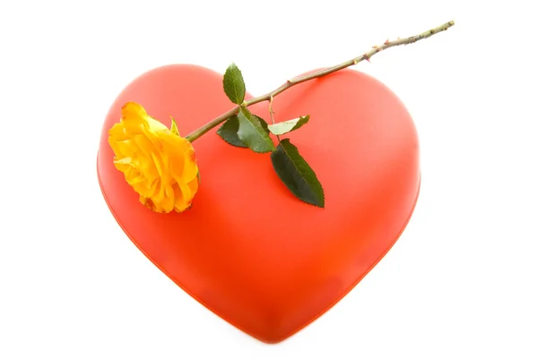 Rose heart — Stock Photo, Image