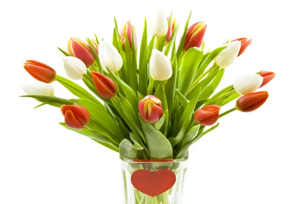 Holandské tulipány — Stock fotografie