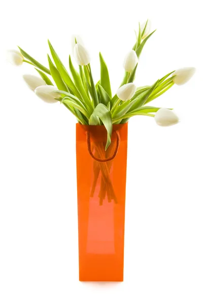 Holländische Tulpen — Stockfoto