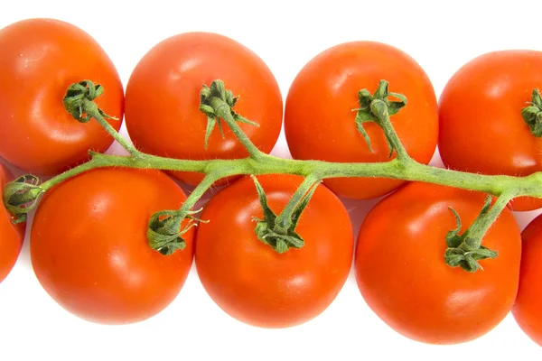 Čerstvá rajčata — Stock fotografie