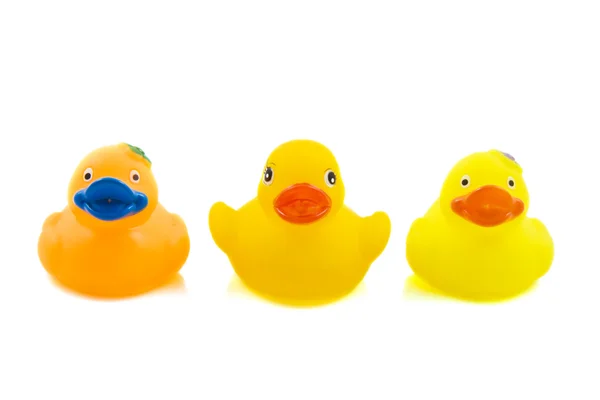 Funny ducks — Stock Photo, Image