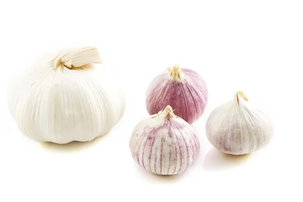 Garlic onion — Stock Photo, Image