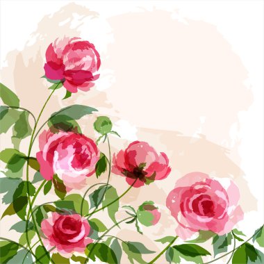 Peonies clipart