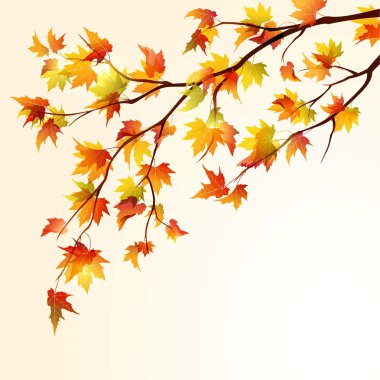 Autumn maple branch clipart