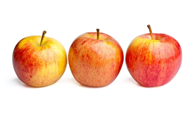 Tři jablka royal gala — Stock fotografie