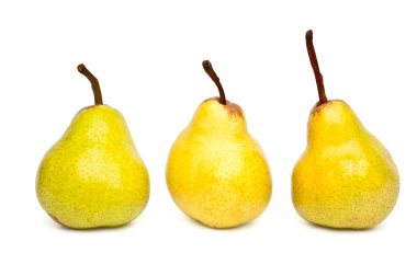 Three Packham pears clipart