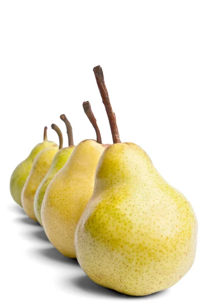 Serie decreciente de peras Packham sobre fondo blanco — Foto de Stock