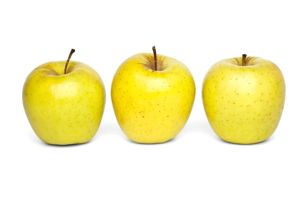 Manzanas doradas de tres en una fila — Foto de Stock