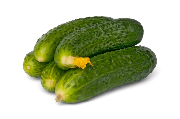 Some fresh cucumbers — Stock Photo, Image