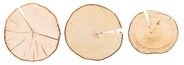 Trzy drewniane przekrojów poprzecznych — Zdjęcie stockowe