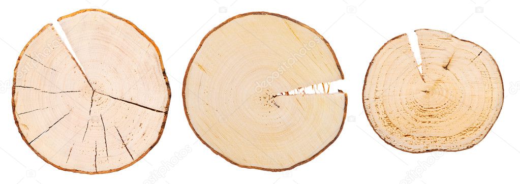 Three wooden cross sections