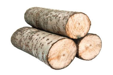 Aspen firewood clipart