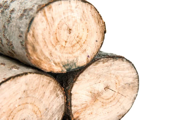 Aspen firewood — Stock Photo, Image