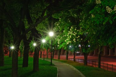 Şehir gece hayatı