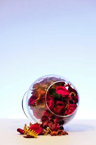Склянка з сушеним листям — стокове фото