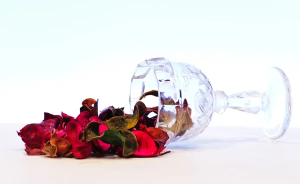 Glas met gedroogde bladeren — Stockfoto