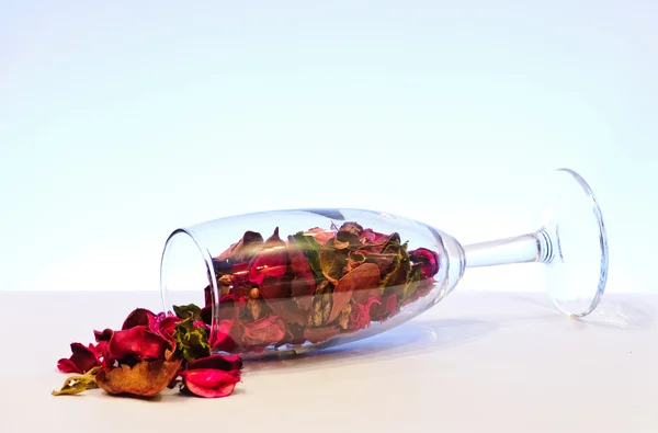 Glas med torkade blad — Stockfoto