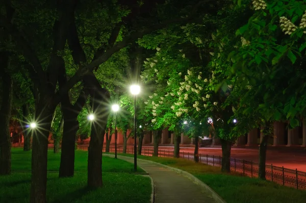 stock image City nightlife