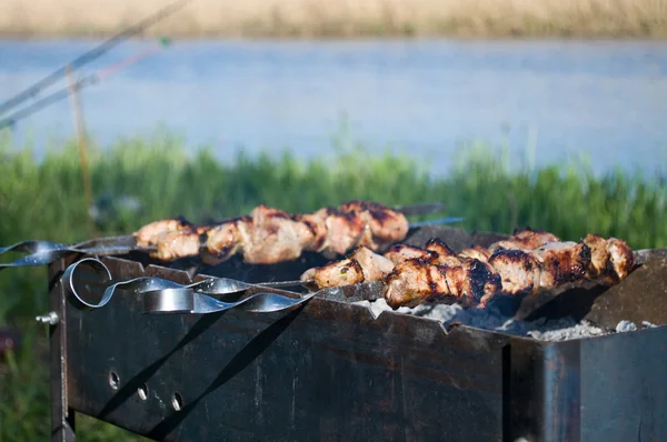 Picnic estivo sul fiume, barbecue — Foto Stock
