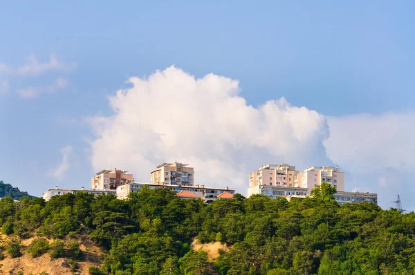 stock image Summer, green trees and mountains