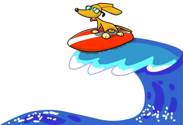 stock image Fuffy the surfer