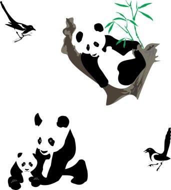 Panda&magpies clipart