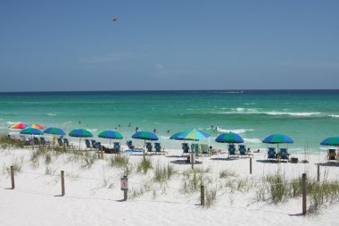 Destin beach clipart