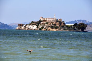 Alcatraz Adası