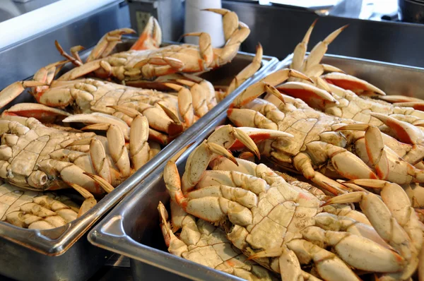 stock image Dungeness crabs