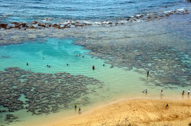 Hanauma Körfezi, Oahu, Hawaii