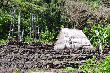 Waimea Vadisi heiau