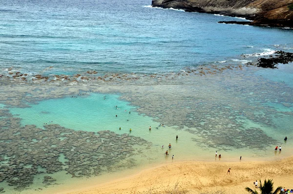 ハワイ州オアフ島のハナウマ湾 — ストック写真