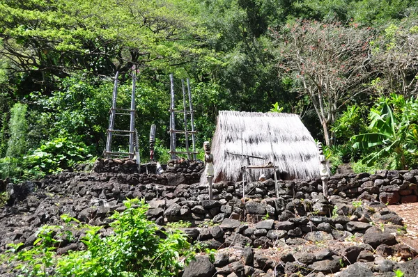 stock image Waimea Valley Heiau