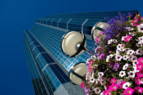 stock image Skyscrapers