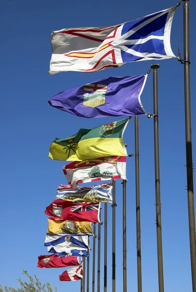 Canadian provincial flags — Stock Photo, Image