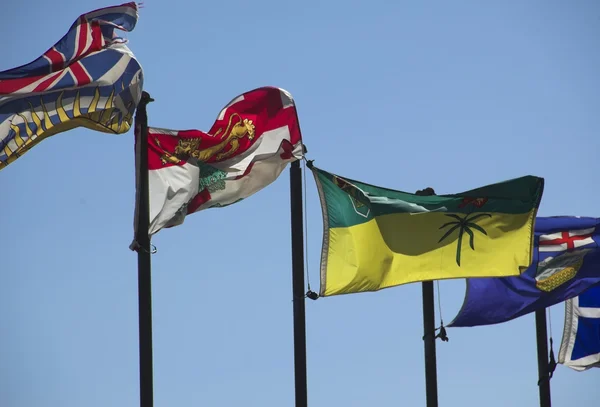 Kanadensiska provinsernas flaggor — Stockfoto